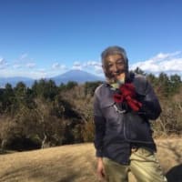 まさに虎さん３連発、何じゃそれ？