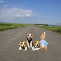 エアコン欲しい