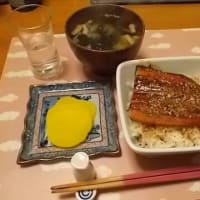 歯列矯正の推移（画像アリ）
