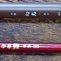 新中川(6月12日) 新竿下し釣行！
