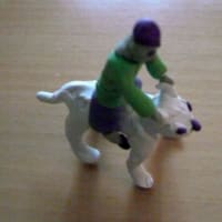 白犬と少年