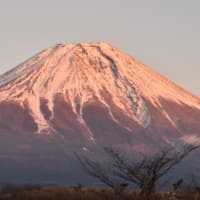 昨年年末の富士山てす