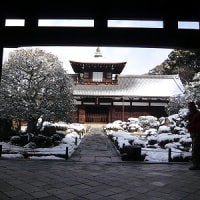2012年2月18日(土)　東福寺　開山堂・三門