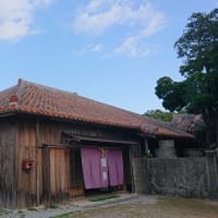 R6.1.4～沖縄旅行４泊５日✰（その２）