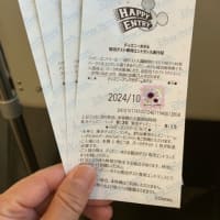 TDRに行ってきました。【ディズニーシー編1】