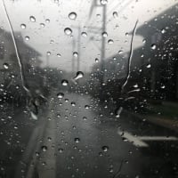 多摩は大雨