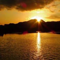 二上山の日の出～川西大橋上流部　石川左岸３　２０２５．６