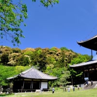 一番好きな季節-和歌山県岩出市：根来寺