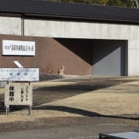 観梅ウォーク（大心苑）＜３月１日（土）＞