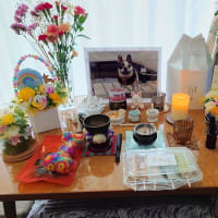 ブロ友さんが会いに来てくれました