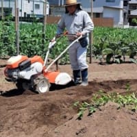 ジュリエットさんからの野菜いっぱいいただきました。おいしそ～～