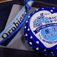 個人の感想です…