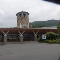 07/14思い出の旅日記　五島：大瀬崎への鳥見行-3（大瀬崎～三井楽間の海浜等の模様）