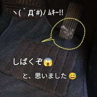 ばかたれ 😤 今でも、こんなばかがいるなんて 🗯