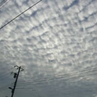 本日の空