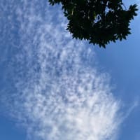 嬉しいのかなどうかな