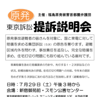 7月29日に福島原発被害東京訴訟の５次提訴説明会を開きます