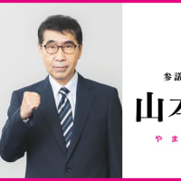 選挙だっ！何できる？