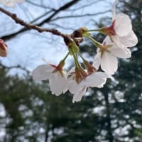 3月２６日（水）練習風景