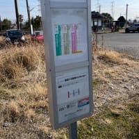 たますんブログ12回目