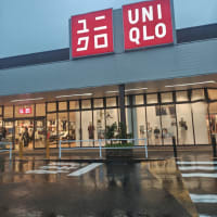 ジジイ。ユニクロに行く