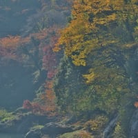 晩秋の渡良瀬渓谷