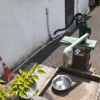 猛暑日の池之端の井戸