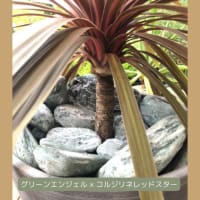 【施工例シリーズ】DIY　+ICHICAFE NAGOYA 様