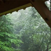 「こたつの完全撤退」