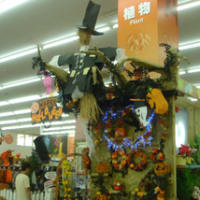ユニディ湘南平塚教室 Welcome To Can Do S Blog ユニディ湘南平塚教室 Welcome To Can Do S Blog