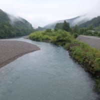 本日の海部川