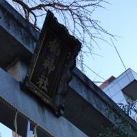 ２０１０年　寅年　初詣