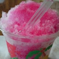 握りしめていた 君がいた夏は 遠い夢の