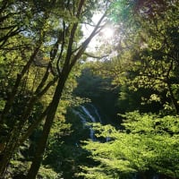 パワースポット”百間滝”