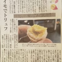 新潟日報第1、3火曜日「笑う門にはイモ来たる」⑫