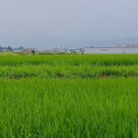夏の始まりは秋の始まり？