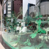 銀座でランチ