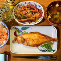 日記_20250413 真夏の果実など