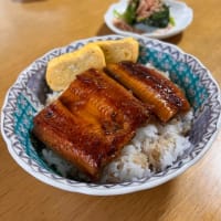鰻丼でお祝い