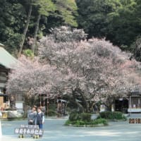 みなまで言うな！