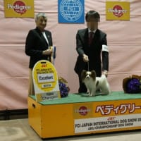 FCI ジャパンインターナショナルドッグショー2012