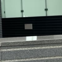 オサンポ walk - 鳥bird : たまに、のスズメ sometimes, "Hello sparrows!"