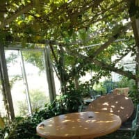 ガーデンカフェ鬼ヶ島の庭
