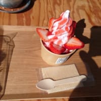 ちょっとラーメンを食べにツーリング3