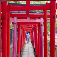【感】根津神社と明治神宮をはしごする