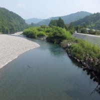 本日の海部川