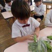 みどり　４歳児　七夕製作・そら豆
