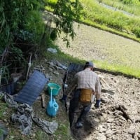 田んぼの水漏れ対策と落花生定植の準備
