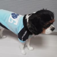 12月に。