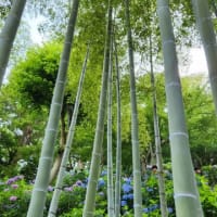 モヤモヤ解消しながら出陣準備は着々と！